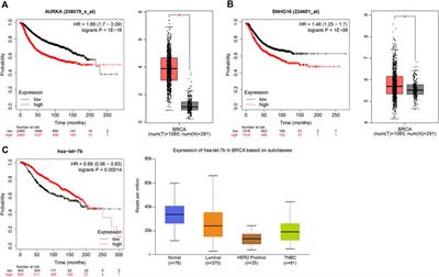 Tamoxifen resistance-related ceRNA network for breast cancer